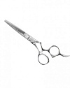 1709 Ножницы «Pro-scissors S» прямые, 6"