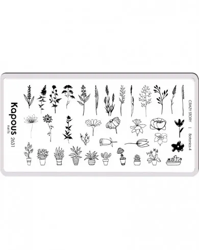 Botanics 4, пластина для стемпинга «Crazy story» 